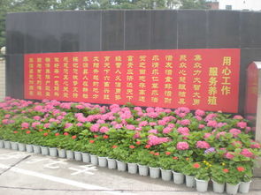 花卉绿植租借服务 为会议活动庆典注入盎然生机