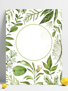 千图网 绿植花卉高清图片免费下载，搭配绿植租借服务